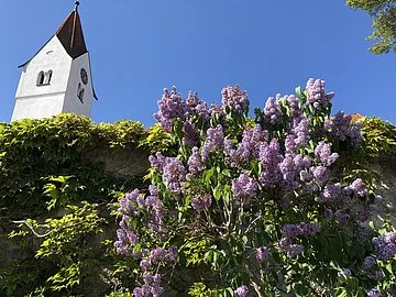 Maria Immaculata Katholische Kirche in Zirgesheim