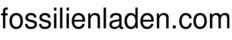fossilienladen.com